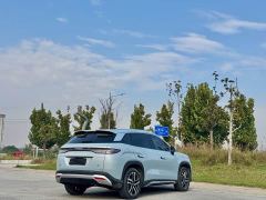 BYD Song L DM-i 112km Transcendence - photo 7