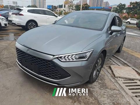 2025 BYD Qin PLUS Glory Edition DM-i 55KM Leading