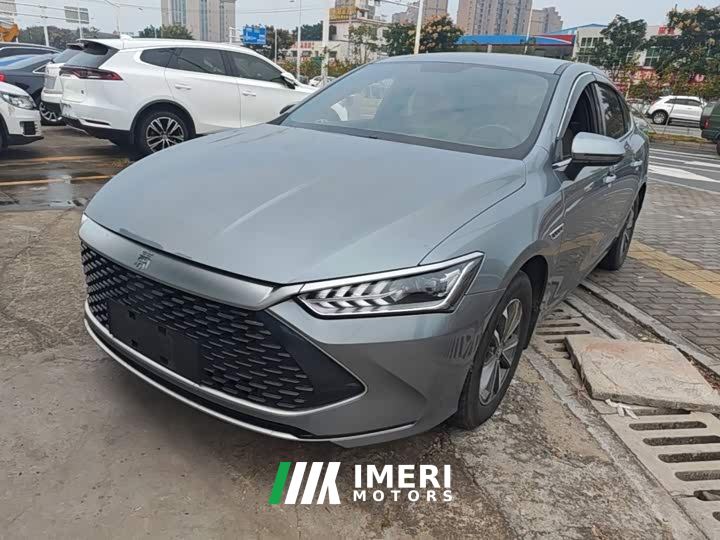 BYD Qin PLUS Glory Edition DM-i 55KM Leading