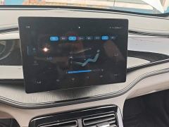 BYD Qin PLUS Glory Edition DM-i 55KM Leading - фото 12