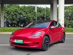 Tesla Model Y Rear-Wheel Drive - ფოტო 1