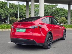 Tesla Model Y Rear-Wheel Drive - ფოტო 9