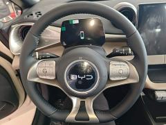 BYD Dolphin 420km Freedom Edition - фото 10