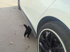 Changan UNI-V 1.5T Premium - photo 11