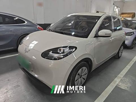 2023 Wuling Binguo 333km Quick Enjoy Edition