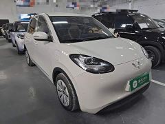 Wuling Binguo 333km Quick Enjoy Edition - фото 3