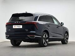 WEY Blue Mountain Four-Wheel Drive Max - ფოტო 3