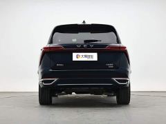 WEY Blue Mountain Four-Wheel Drive Max - ფოტო 4