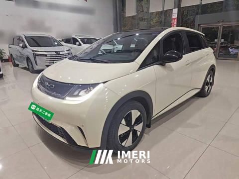 2024 BYD Dolphin 420km Fashion Edition