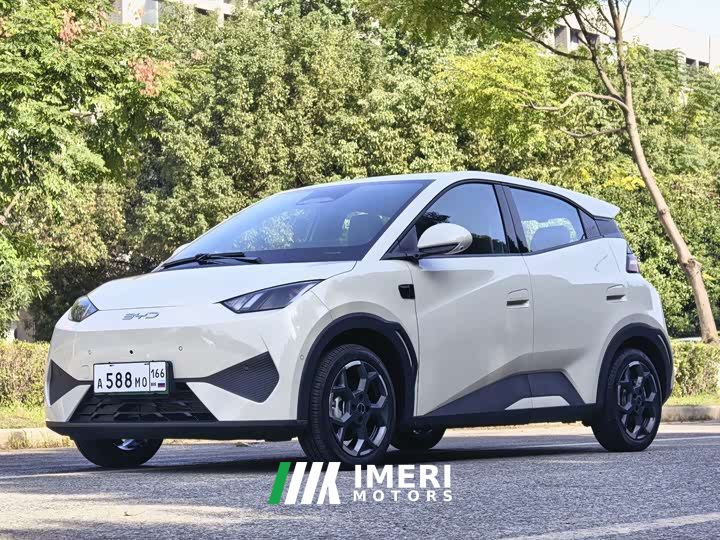 BYD Seagull Smart Driving Edition 305km Freedom Edition