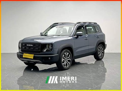 2025 Great Wall Dachshund 1.5T DCT Border Collie Edition - car from China