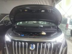 Denza D9 EV 620 Premium Edition - фото 19