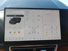 Li Auto L7 Pro - ფოტო 11