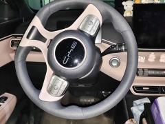 BYD Seagull Vitality Edition - photo 2