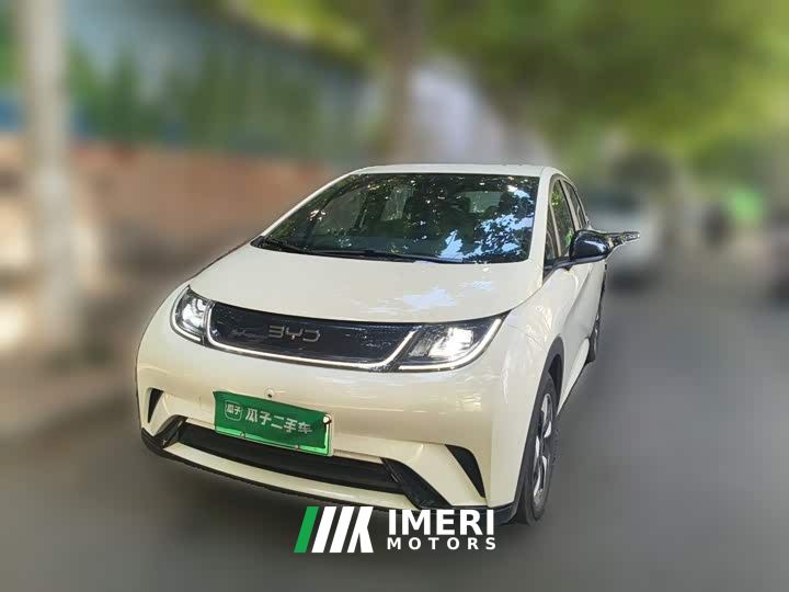 BYD Dolphin 420km Freedom Edition