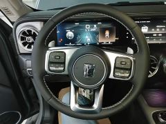 Tank 300 Off-Road Edition 2.0T Conqueror - ფოტო 10
