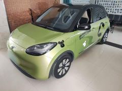 Wuling Binguo 333km Joy Edition - photo 1