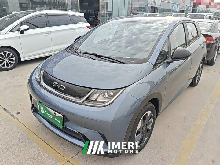 BYD Dolphin 420km Freedom Edition
