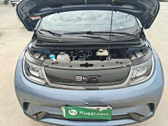 BYD Dolphin 420km Freedom Edition - фото 19