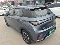 BYD Dolphin 420km Freedom Edition - фото 4