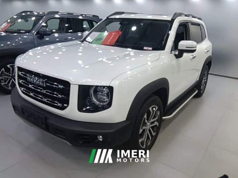 2022 Great Wall Dachshund 1.5T DCT Two-Wheel Drive Border Collie Edition - car from China