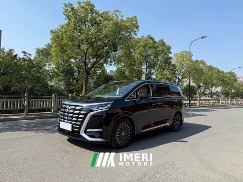 2022 Denza D9 DM-i 1040 Premium