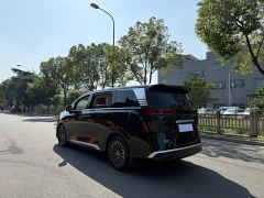 Denza D9 DM-i 1040 Premium - photo 7