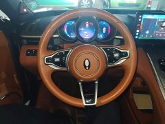 ORA Lightning Cat 555km Deluxe Edition - ფოტო 10