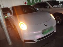 ORA Lightning Cat 555km Deluxe Edition - ფოტო 3