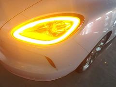 ORA Lightning Cat 555km Deluxe Edition - ფოტო 7