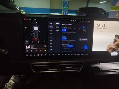 Li Auto L9 Max - ფოტო 9