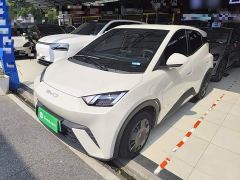 BYD Seagull Vitality Edition - фото 1