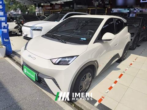 2023 BYD Seagull Vitality Edition