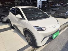 BYD Seagull Vitality Edition - фото 3