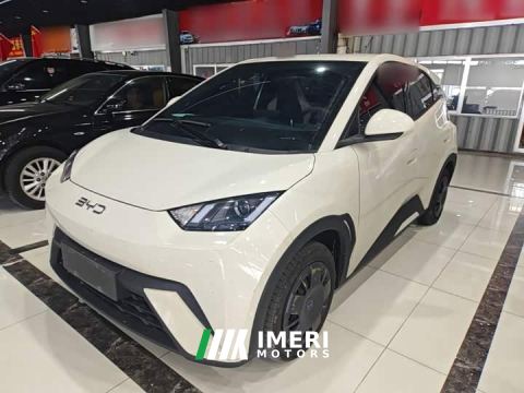 2024 BYD Seagull Glory Edition 305km Vitality Version