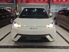 BYD Seagull Glory Edition 305km Vitality Version - photo 2