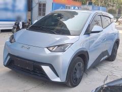 BYD Seagull Glory Edition 305km Vitality Version - ფოტო 1