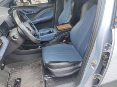 BYD Seagull Glory Edition 305km Vitality Version - ფოტო 14