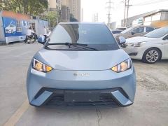 BYD Seagull Glory Edition 305km Vitality Version - ფოტო 2