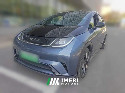 2023 BYD Dolphin 401km Knight Edition