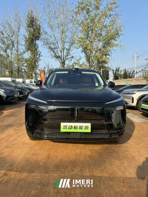 2025 WEY Lam San Wei Brand Blue Mountain 1.5T 221km AWD Max - car from China