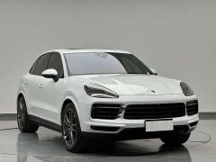 Porsche Cayenne 3.0T Platinum Edition - photo 3