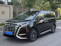 Denza D9 DM-i AWD Premium Navigation Edition - ფოტო 1