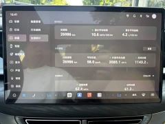 Denza D9 DM-i AWD Premium Navigation Edition - ფოტო 6