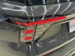Ford Sharp Circles L 2.0T EcoBoost EPHEVAWDFlagship Version - ფოტო 14