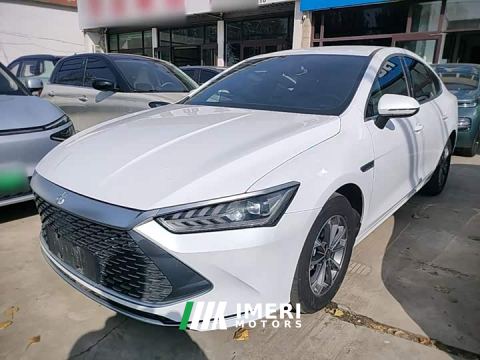 2024 BYD Qin PLUS Glory Edition DM-i 55KM Leading