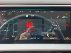 Denza D9 DM-i 970 AWD Premium Edition - ფოტო 12