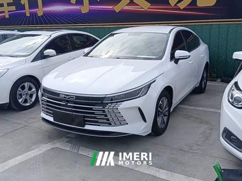 2024 BYD Destroyer 05 Glory Edition DM-i 55KM Luxury
