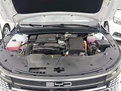 BYD Destroyer 05 Glory Edition DM-i 55KM Luxury - photo 19