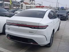 BYD Destroyer 05 Glory Edition DM-i 55KM Luxury - photo 6